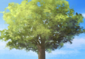 青い空と大きな樹木